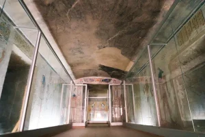 Gallery Thumbnail 2