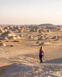 Gallery Thumbnail 11